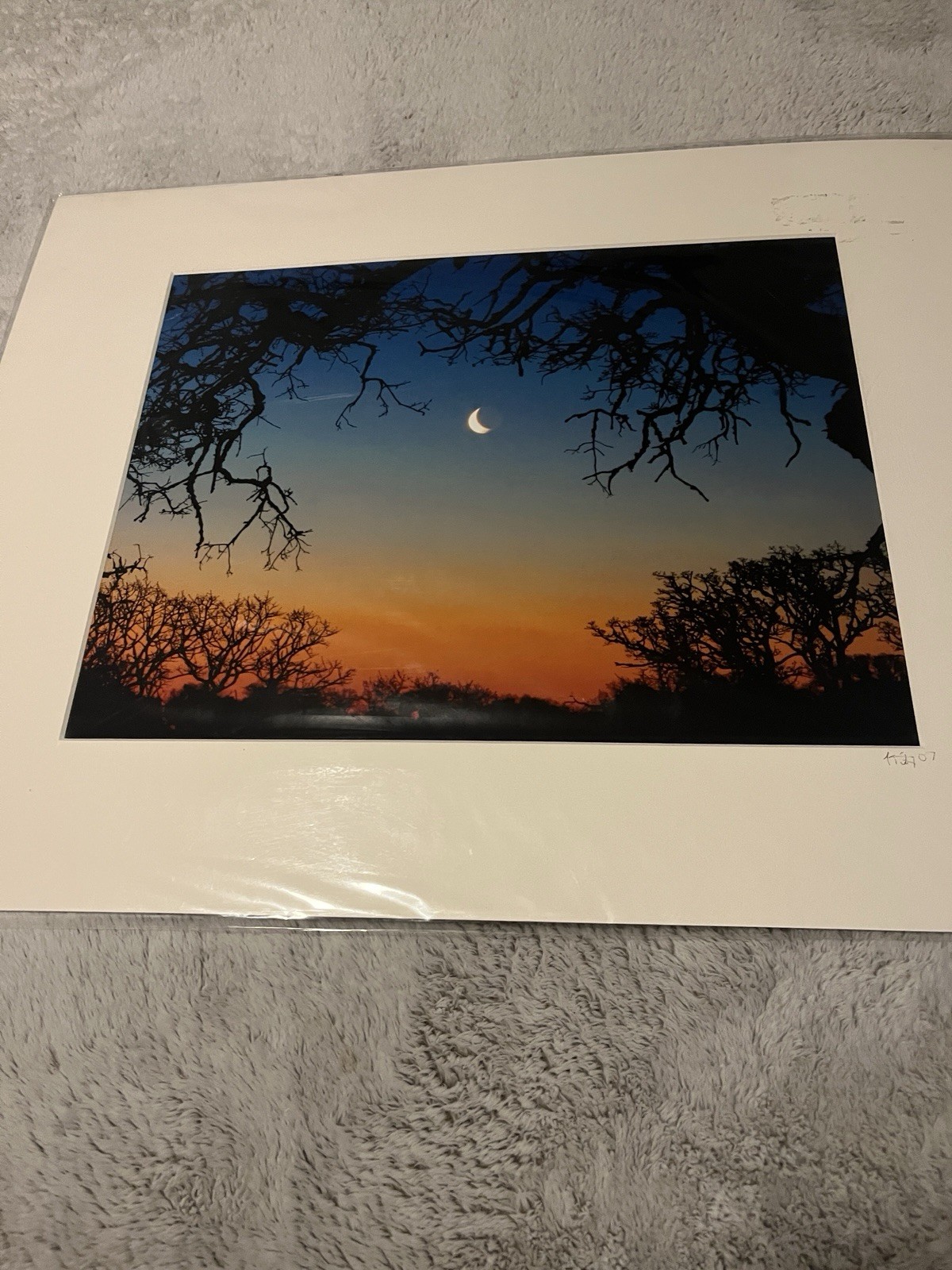 Slice of Moon over Trees Morgan California Matted Art Photograph Kevin Fox 2007