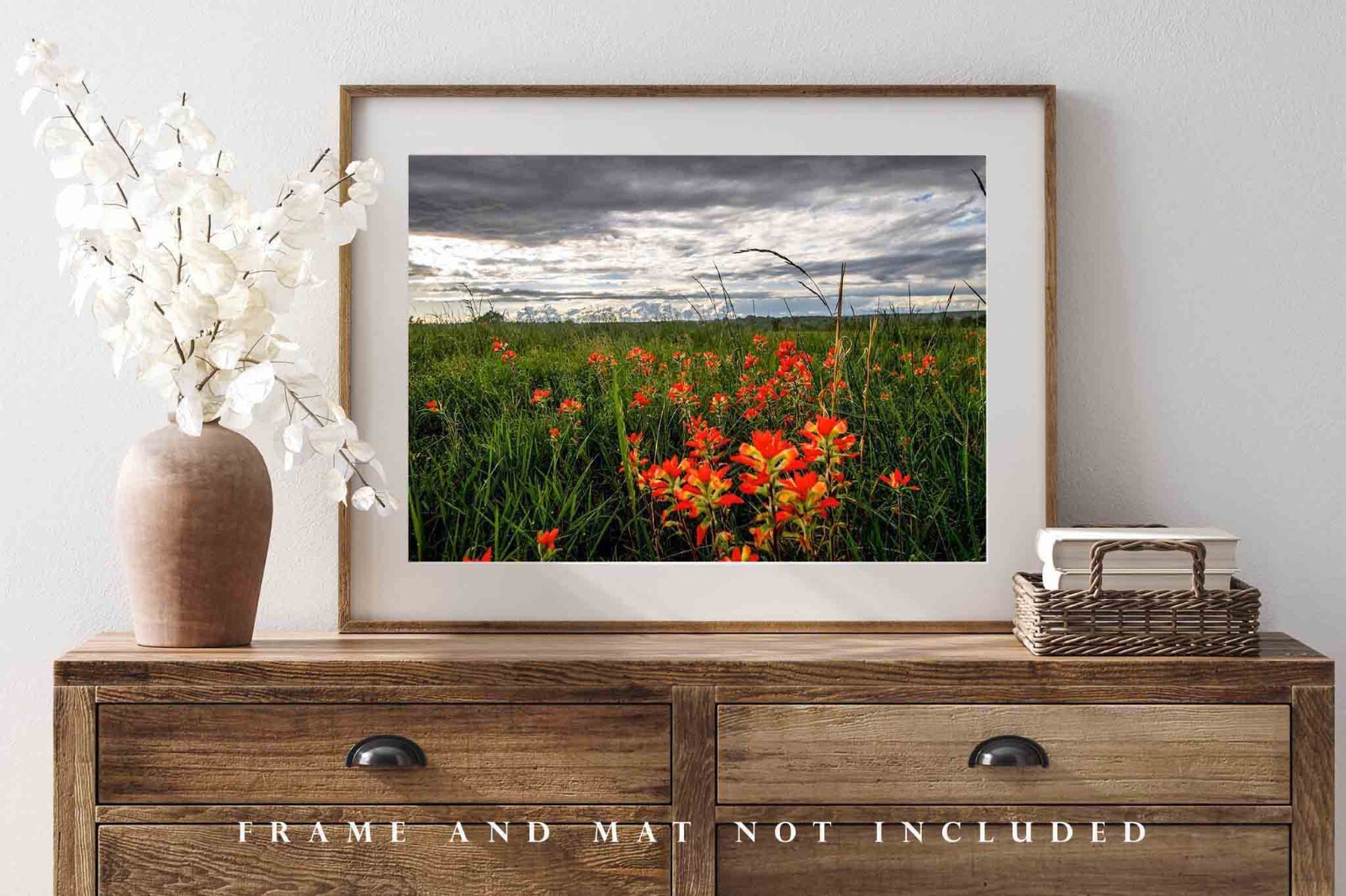 Indian Paintbrush Photography Print: Oklahoma, Wildflowers, Picture, Photo
