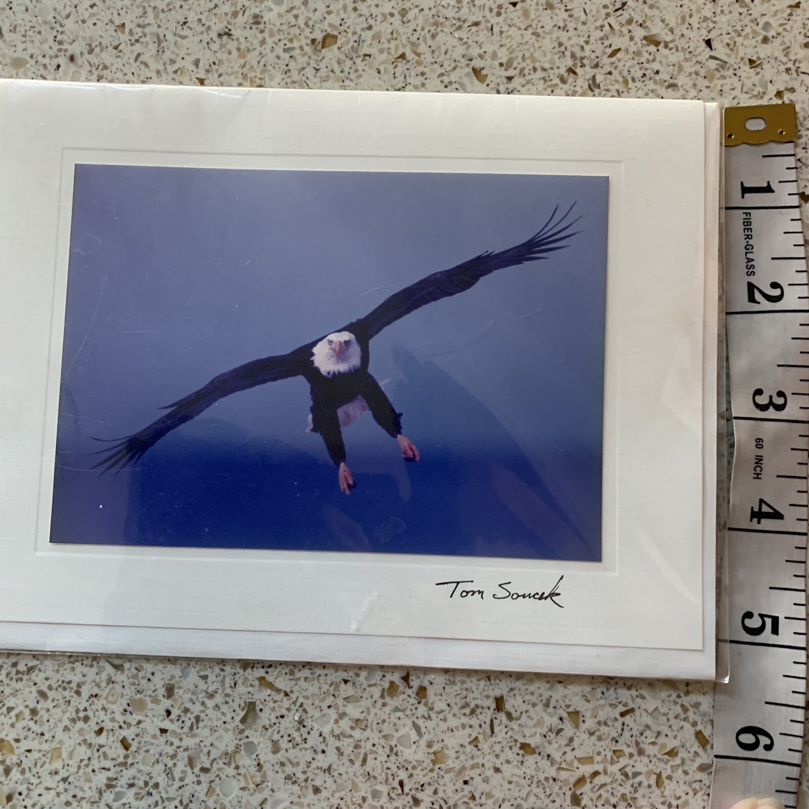 Photograph Notecard by Tom Soucek Eagle Landing Signed 1999