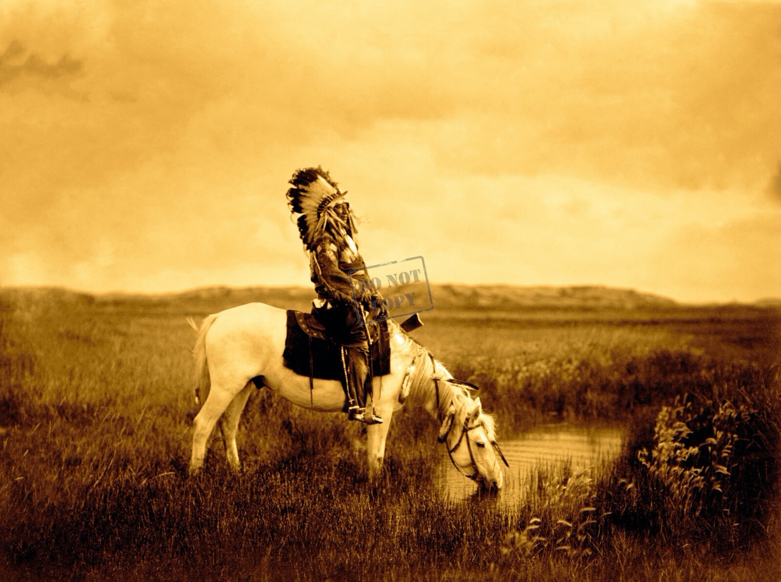 Edward Curtis An Oasis in the Badlands Giclee Fine Art Print Open Edition Repro