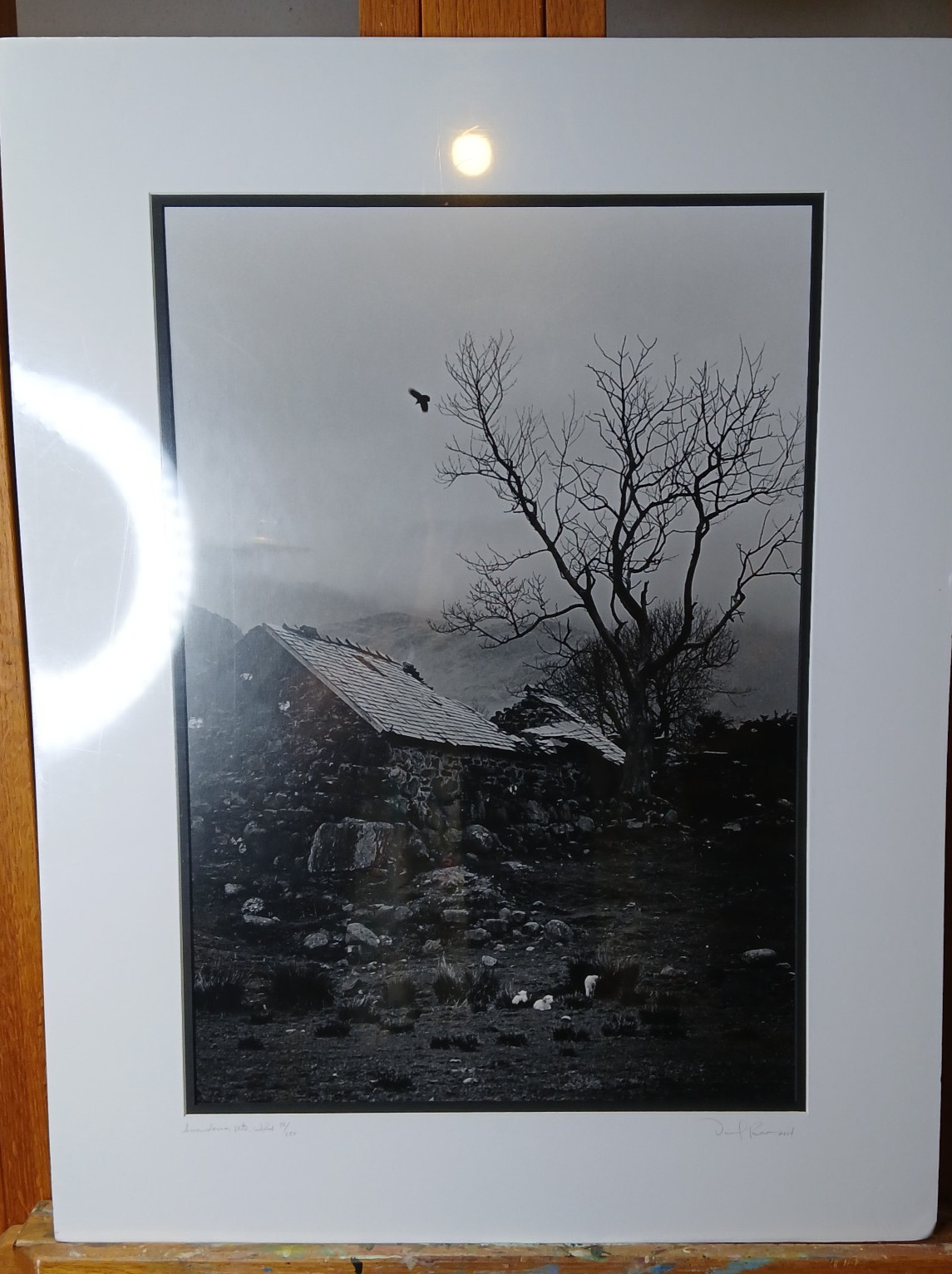 Daniel Powers SIGNED Raven Lambs 2004 Ltd Ed B&W Matted Photo Snowdonia Wales