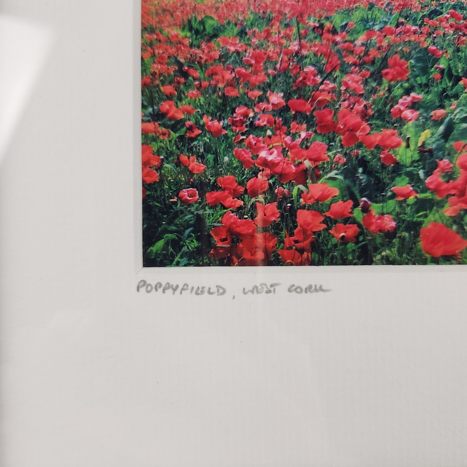 Mike Brown Photography Poppyfield West Cork Signed Framed Art Irish Landscape