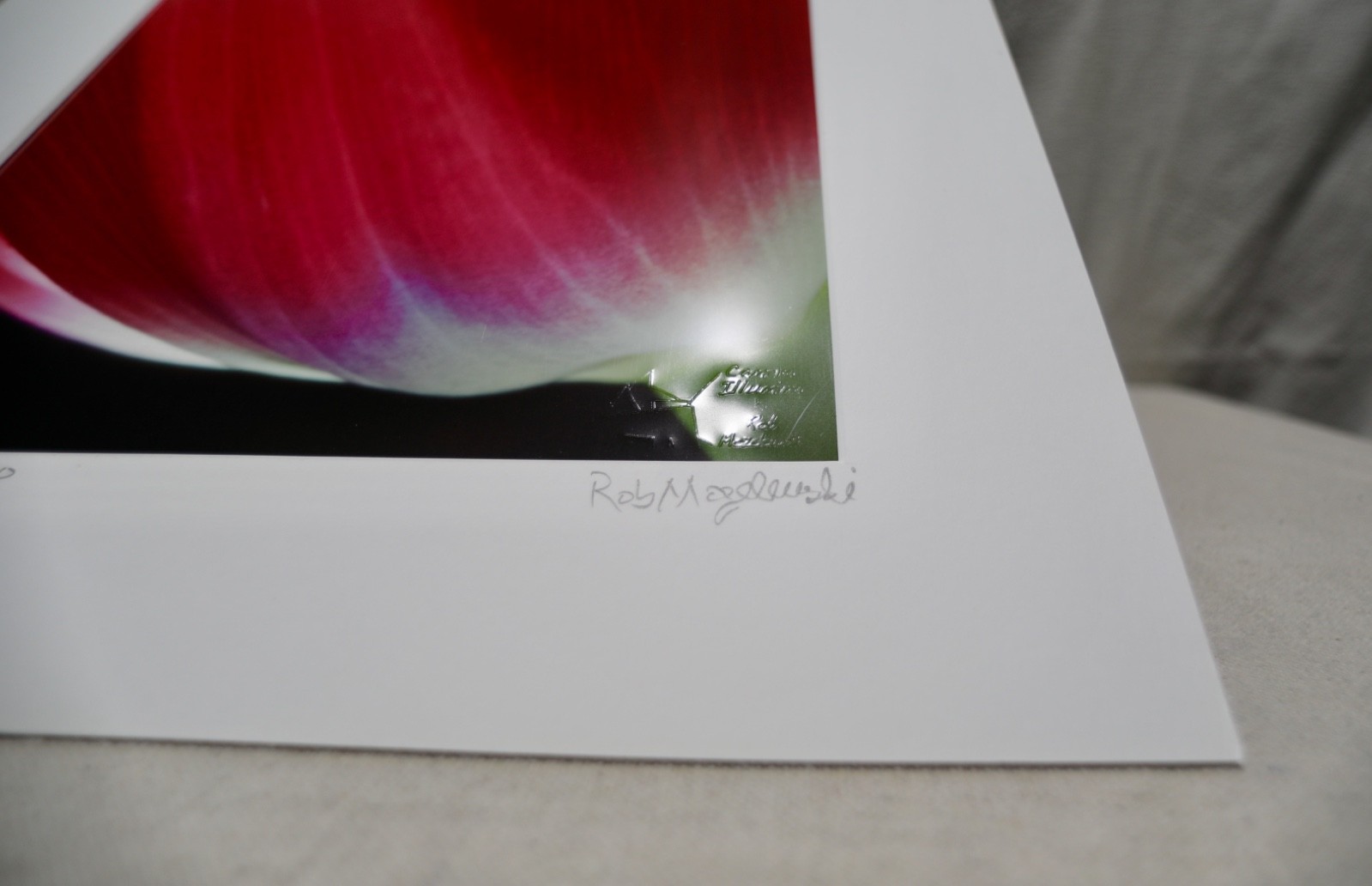 Original Photography Art Print “luminescence”