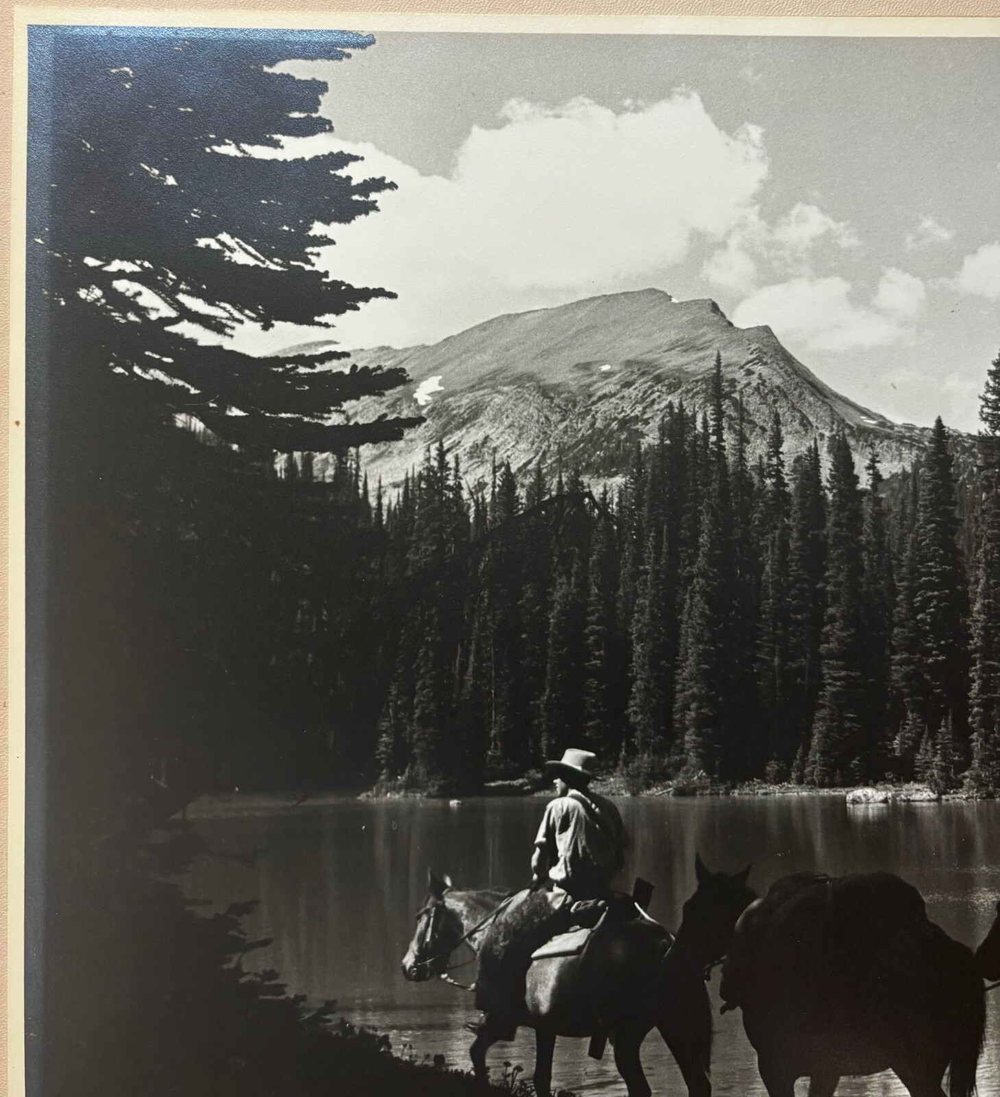 Original HARRY ROWED ‘Morning in the Valley’ Horseback in CANADA Mountains PHOTO