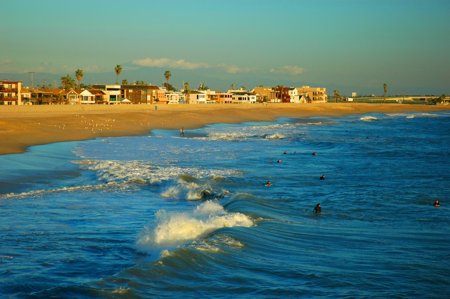 Seal Beach Pier Surf View Surfers and Coastline California Photo 8×10 Orange Cty
