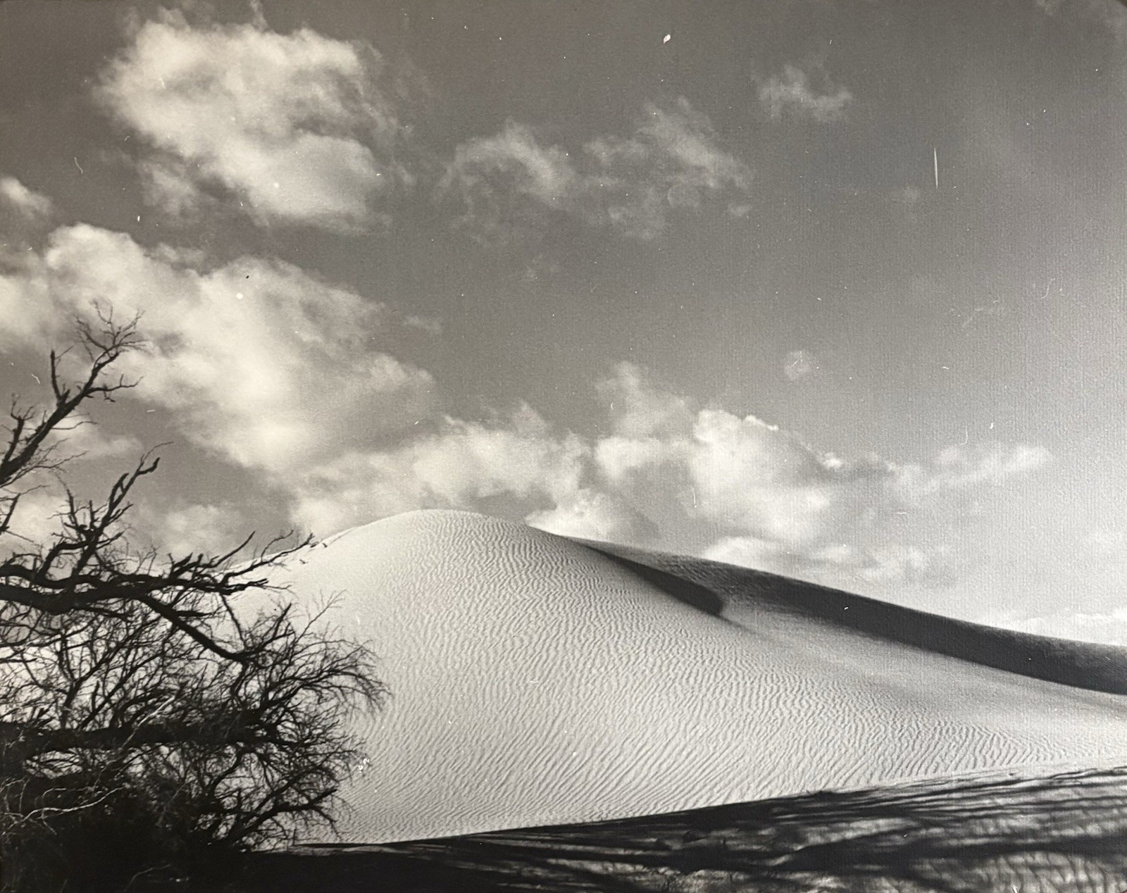 FLOYD B. EVANS Desert Photographer Original Vintage Silver Photo California WPA