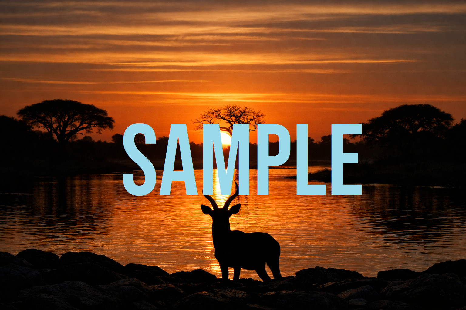 Digital Download Art Photo Image Wallpaper Background Desktop Printable Sunset