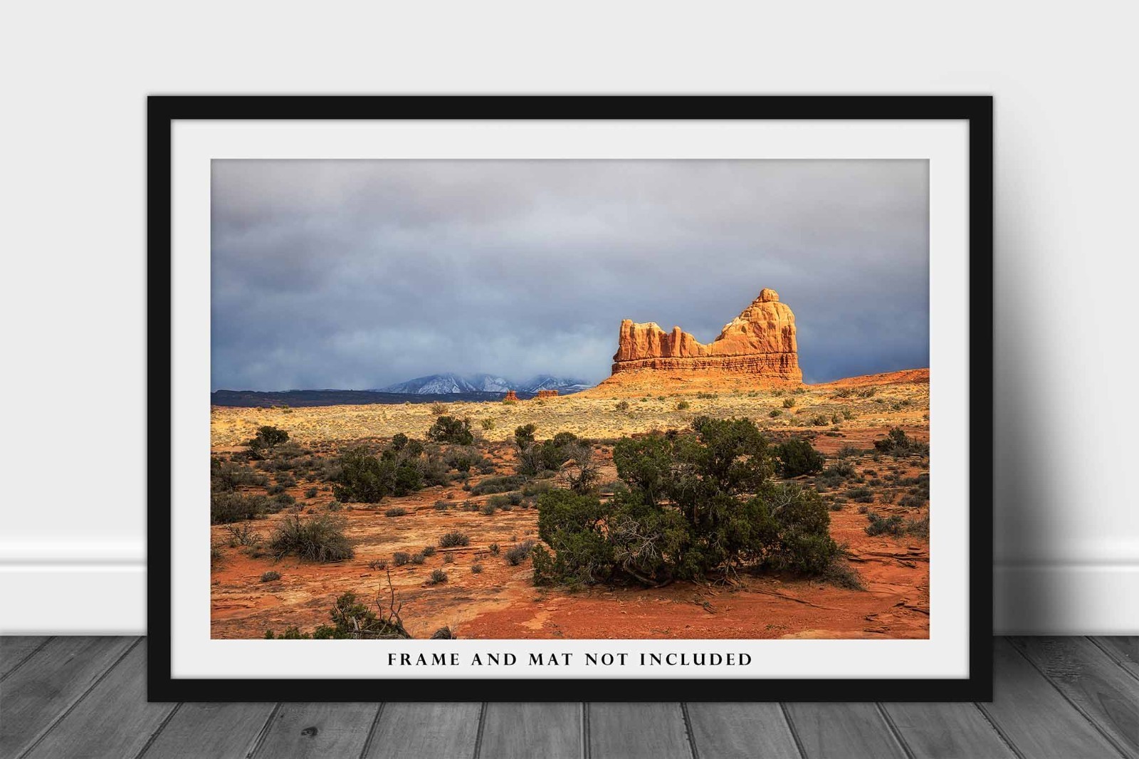 Arches National Park Photography Print: Moab Utah Desert Landscape Photo