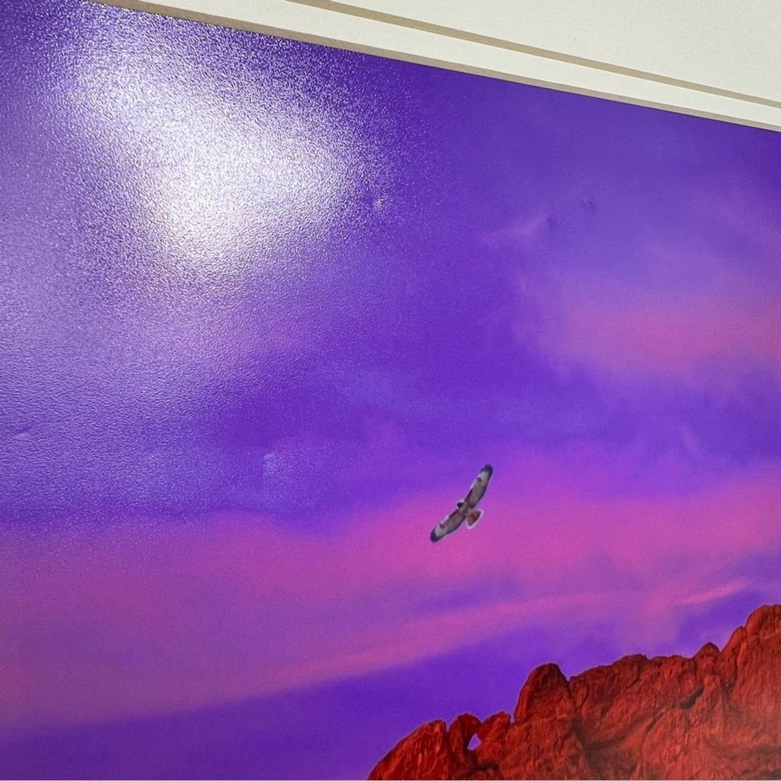 Debbie Yarra Nature’s Light Photography Print Hawk Spirit Soars in the Garden