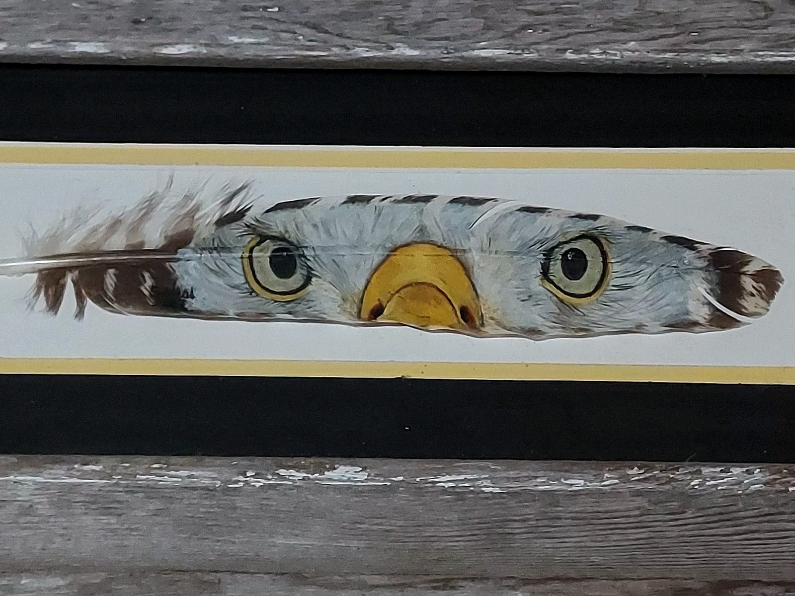 Picture of Painted Turkey Feather With Bald Eagle Eyes Beak Vtg Look Wood Frame