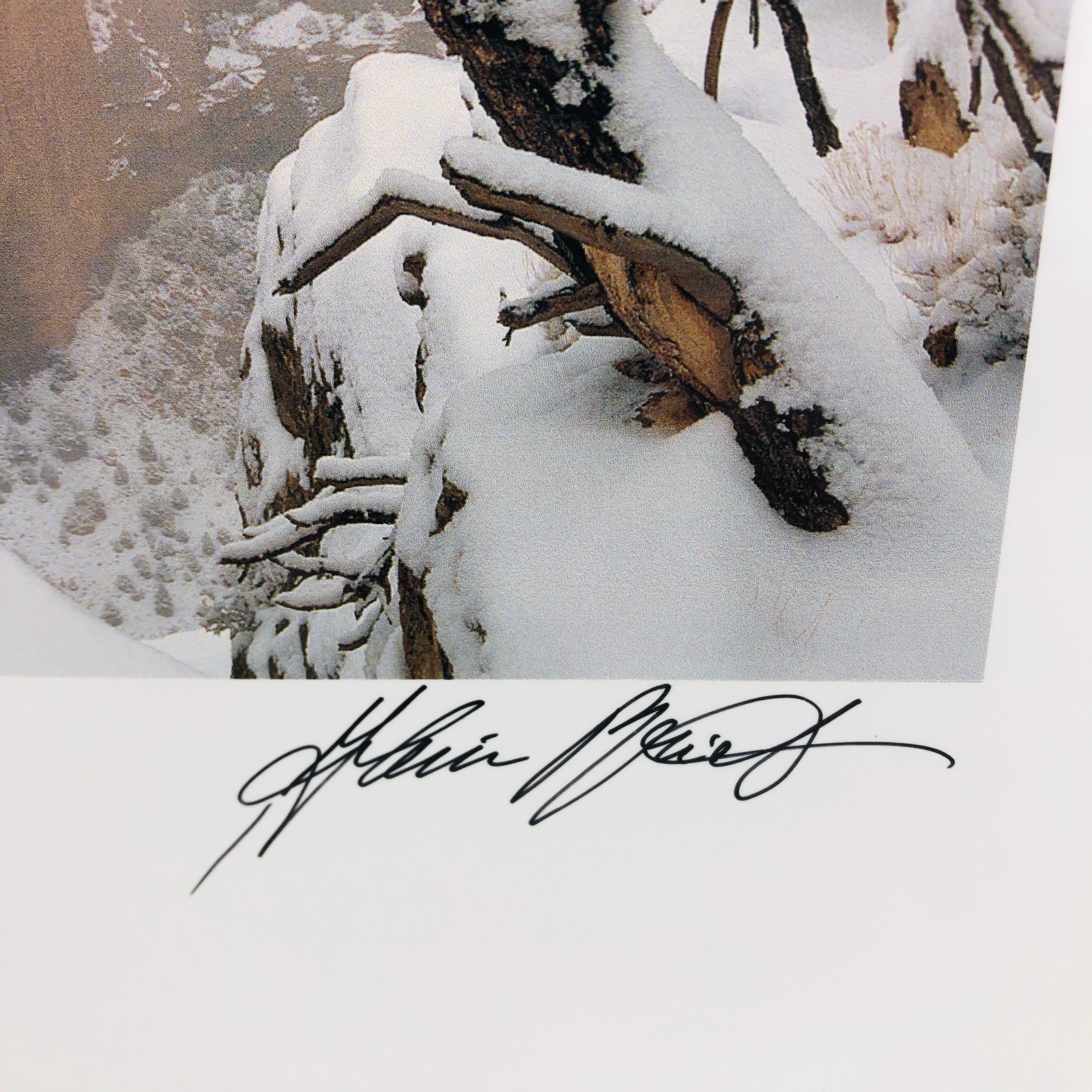 Art Photography Canyon de Chelly JANUARY SNOWSTORM Spider Rock Alain Briot Signd