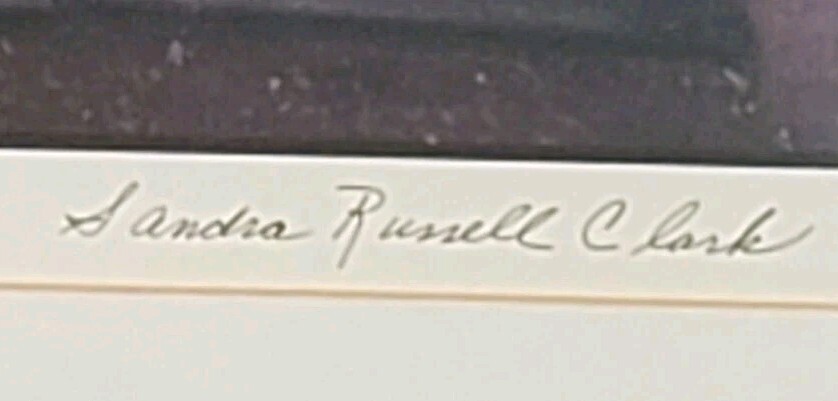 SANDRA RUSSELL CLARK (?) FRAMED/MATTED MONOCHROMATIC (PURPLE-TONES) GARDEN PHOTO