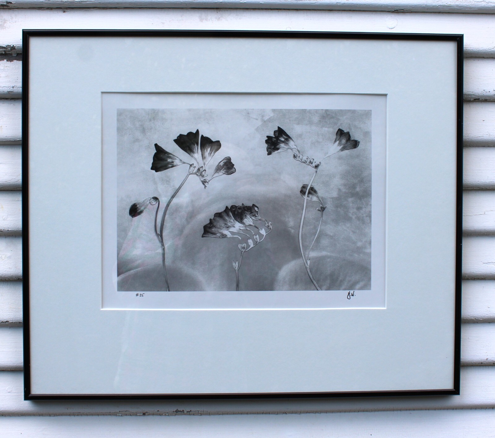 HUNTINGTON WITHERILL SIGNED 1991 Freesias Special Edition Collection #26 Framed