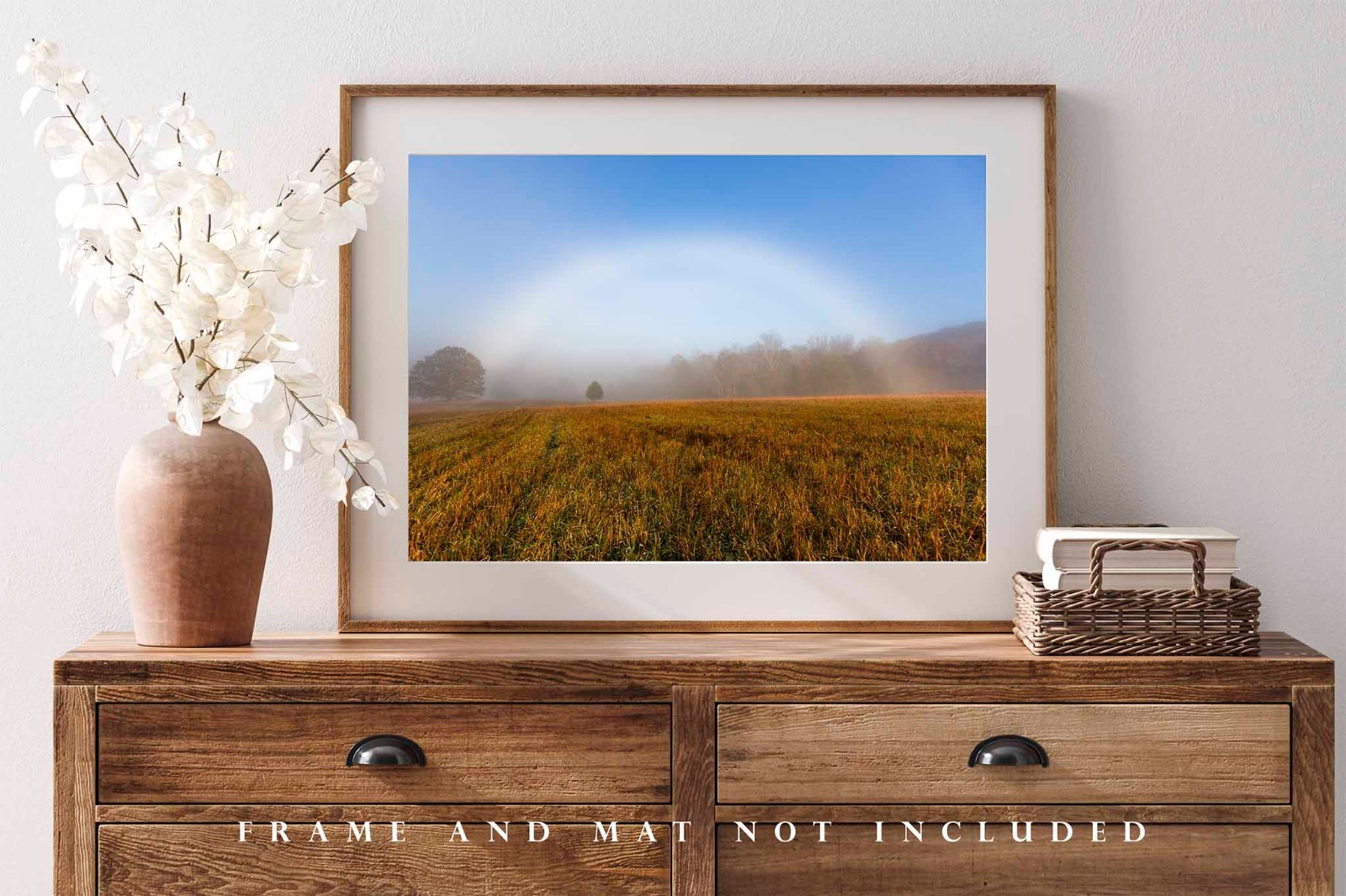 Fog Bow Photography Print: Tennessee Great Smoky Mountains Landscape Photo