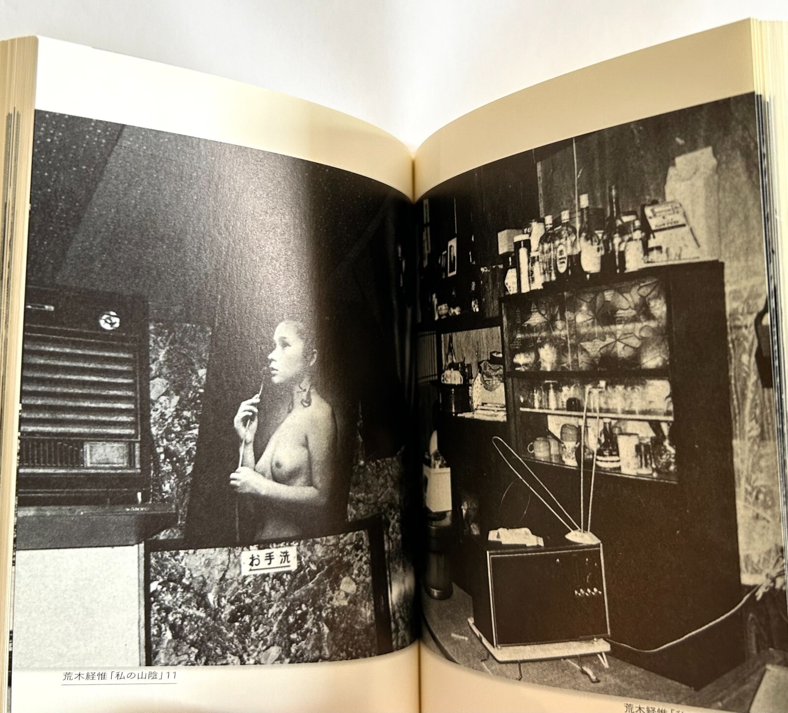 NOBUYOSHI ARAKI JOURNEY TO PHOTOGRAPHY Reissue JAPAN MINI PAPERBACK BOOK ’07 Z22