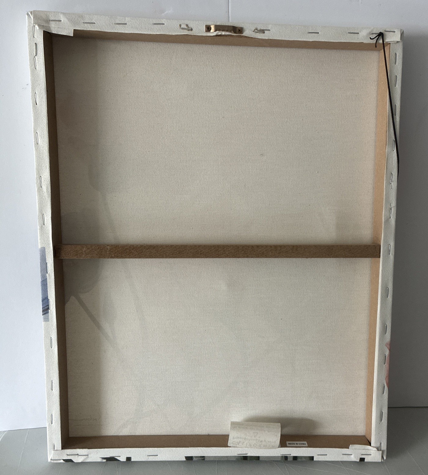 Albert Koetsier 19 1/2 x 15 1/2 Radiographic On Unframed Canvas Flowers Images