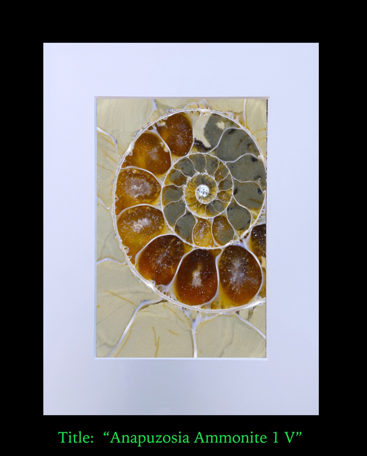 matted photograph, 5″x7″ print, mounted 3/16″ foam with 8″x10″ single white mat