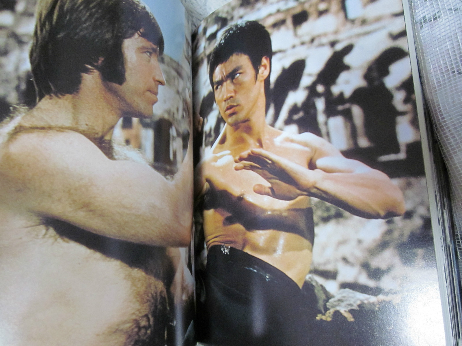 BRUCE LEE BOOK DRAGON FOREVER 1974 JAPAN by Koichi Hino 1st. edition