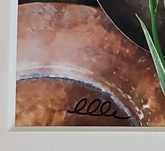 Lenny Lyons Bruno Art Photograph Yellow Lily Still Life Hand Signed Matted 11×14