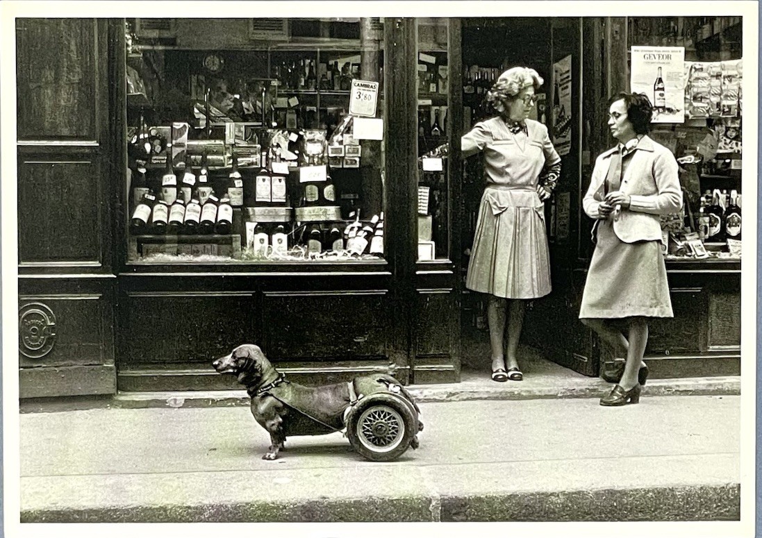 Robert Doisneau Art Photo Print Card – Dog On Wheels, 1977 – Fotofolio 4”x6”