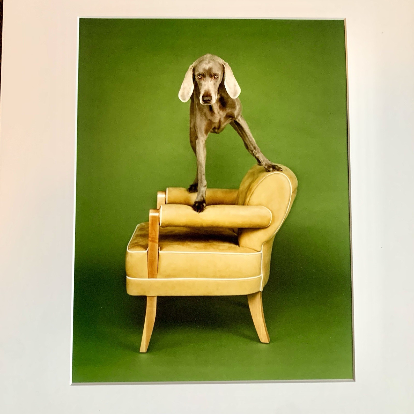 WILLIAM WEGMAN Lot of 2 SIGNED Limited Edition Color Photographs 11×14