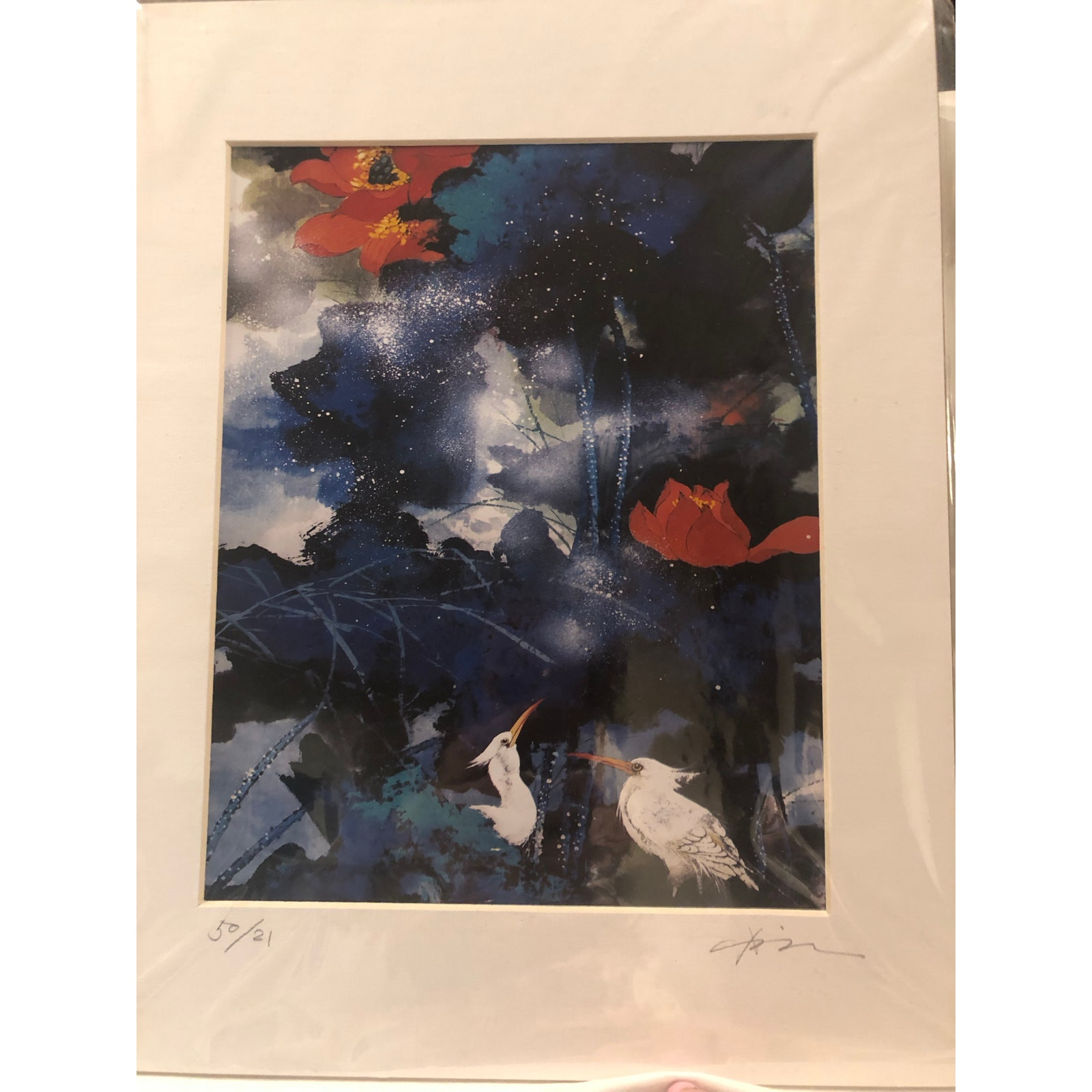 Abstract Photo Of Floral Garden Birds in Water signed and #50/21