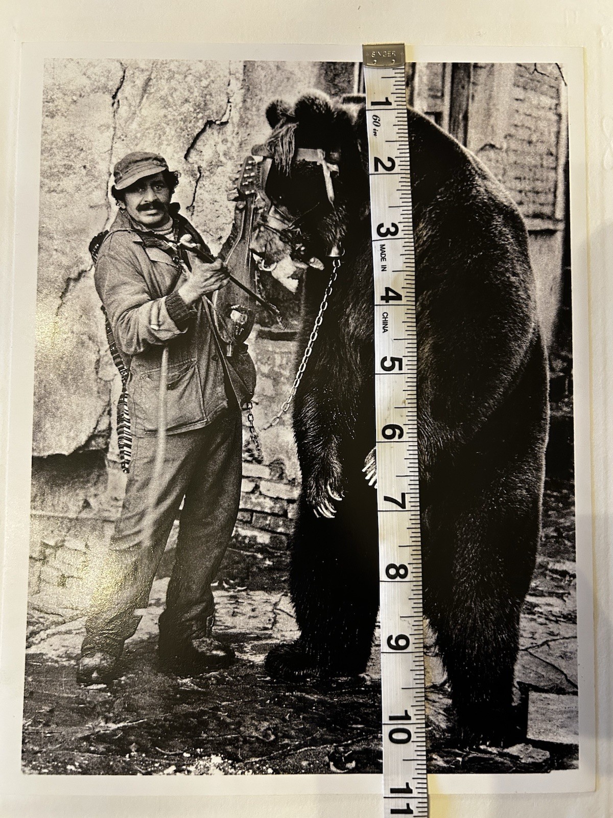Jacko Vassilev-Silver Gel Print-Award Winning Photographer-“Dancing Bear” SIGNED
