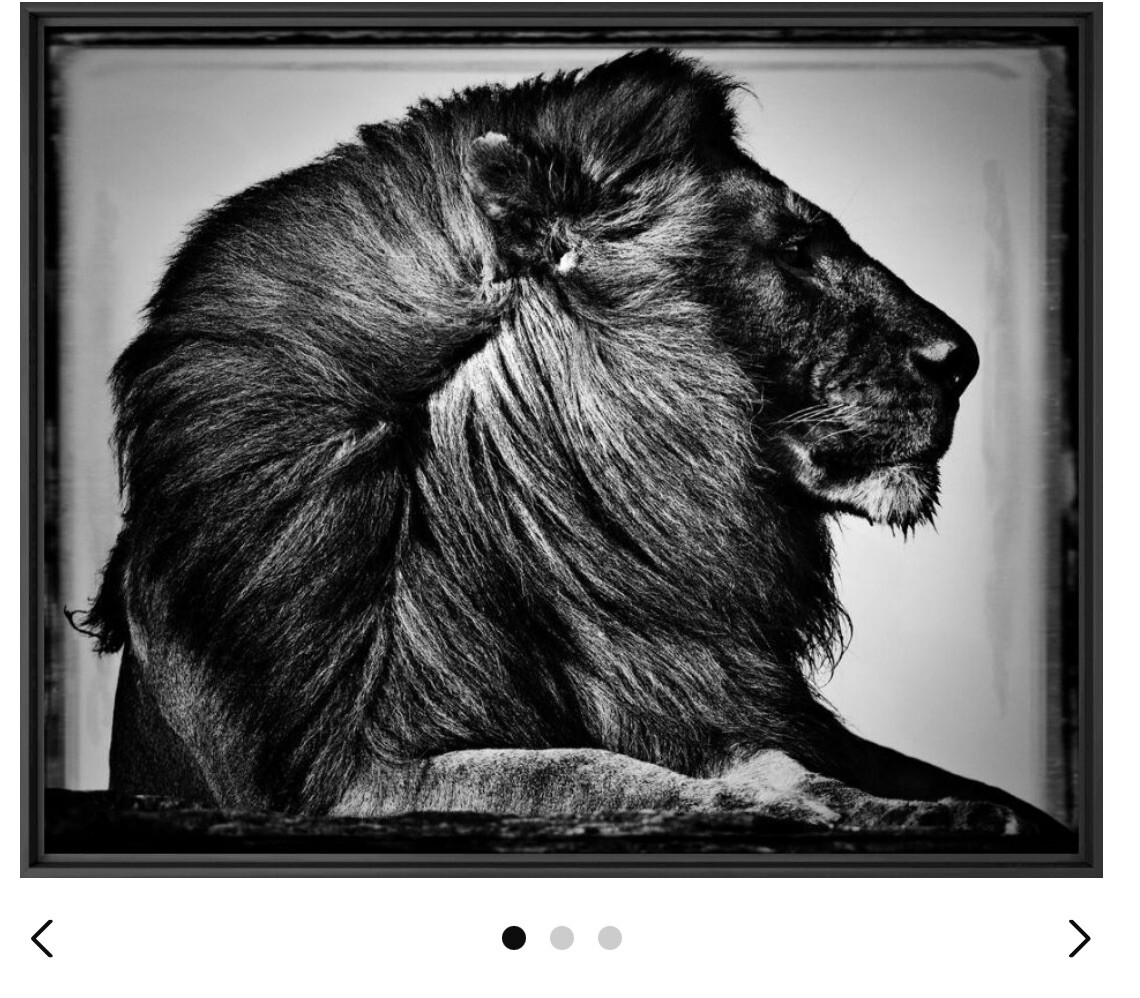 Original Artist Metal Print 24″ x 30″ “CRINIÈRE DE LION” Limited Ed. Sold Out.