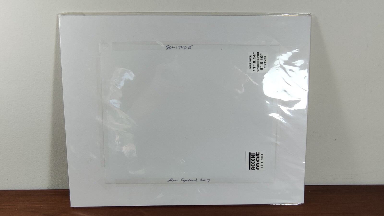 Original Photo Art Print Swan Photography Matted Signed by Ann Copeland Sealed