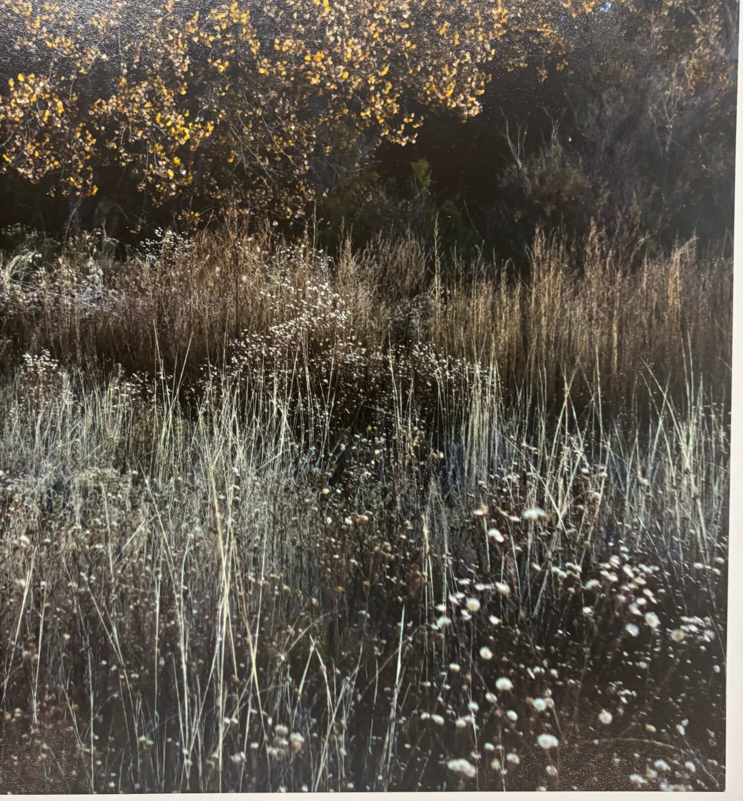 Vintage SUSANNAH HAYS ‘Star Vibrations’ SANTA FE New Mexico Landscape PHOTO