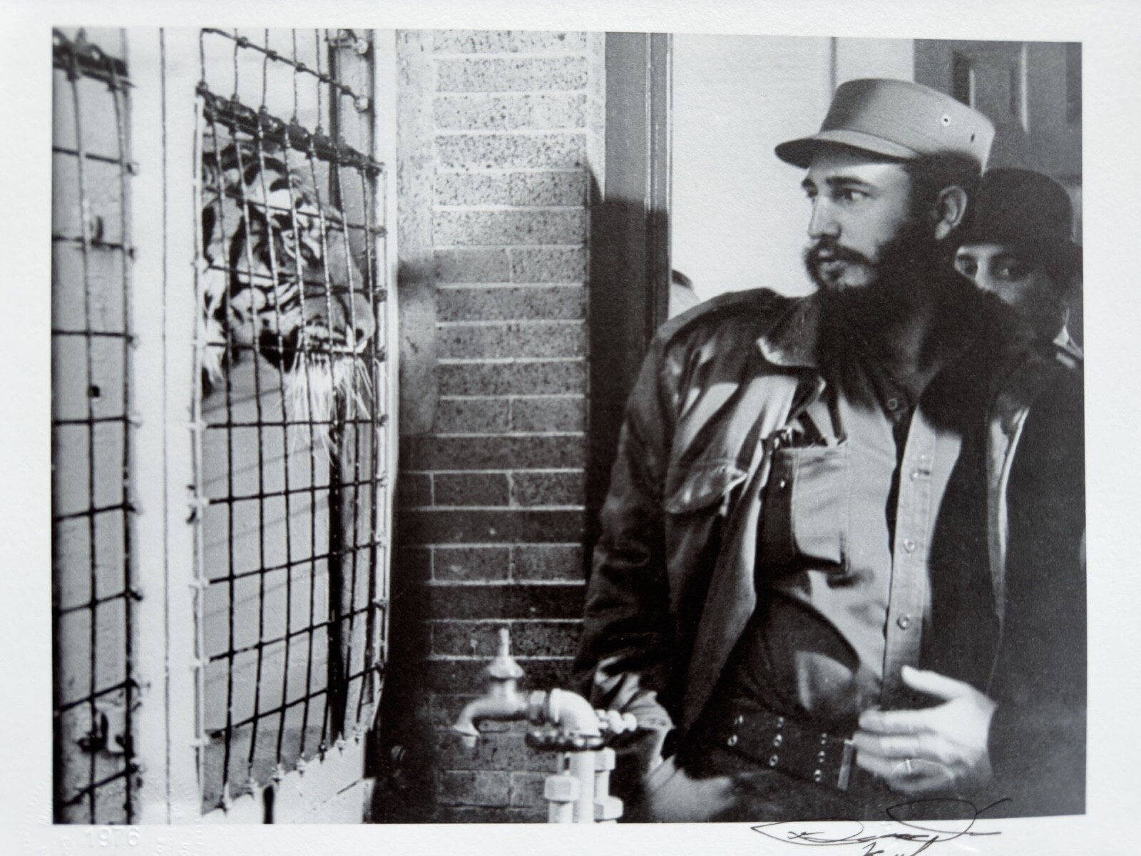 Fidel Castro and the Caged Tiger – Symbolic Moment by Korda Vintage Print