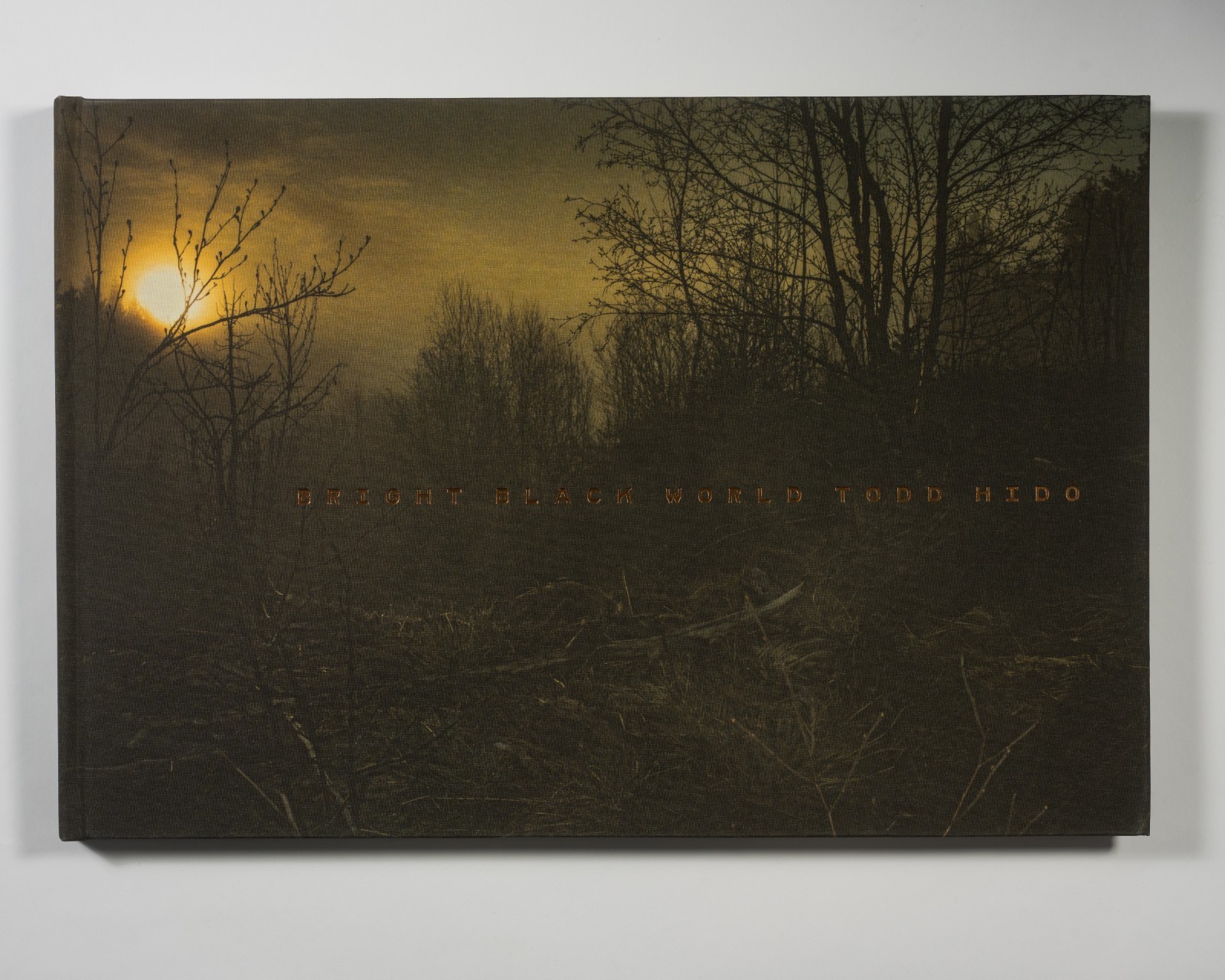 Todd Hido – Bright Black World – 1st Edition – Nazraeli Press 2018