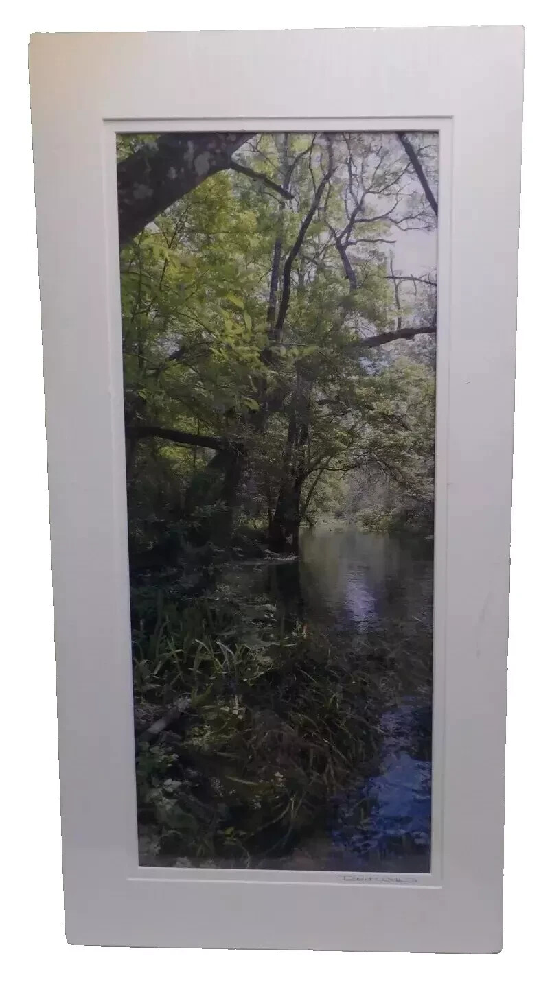 Sighed original photography by Robert “Spring Ichetucknee river”