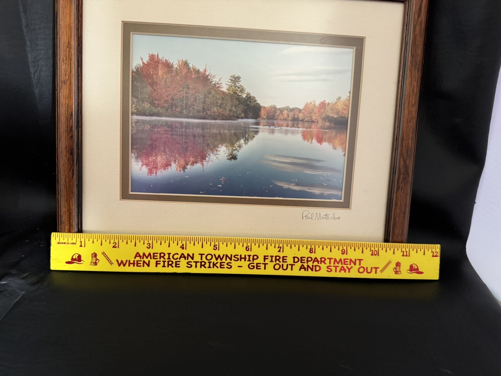 Signed Photo Framed Wall Art Fall Trees, Lake Country Photo Art