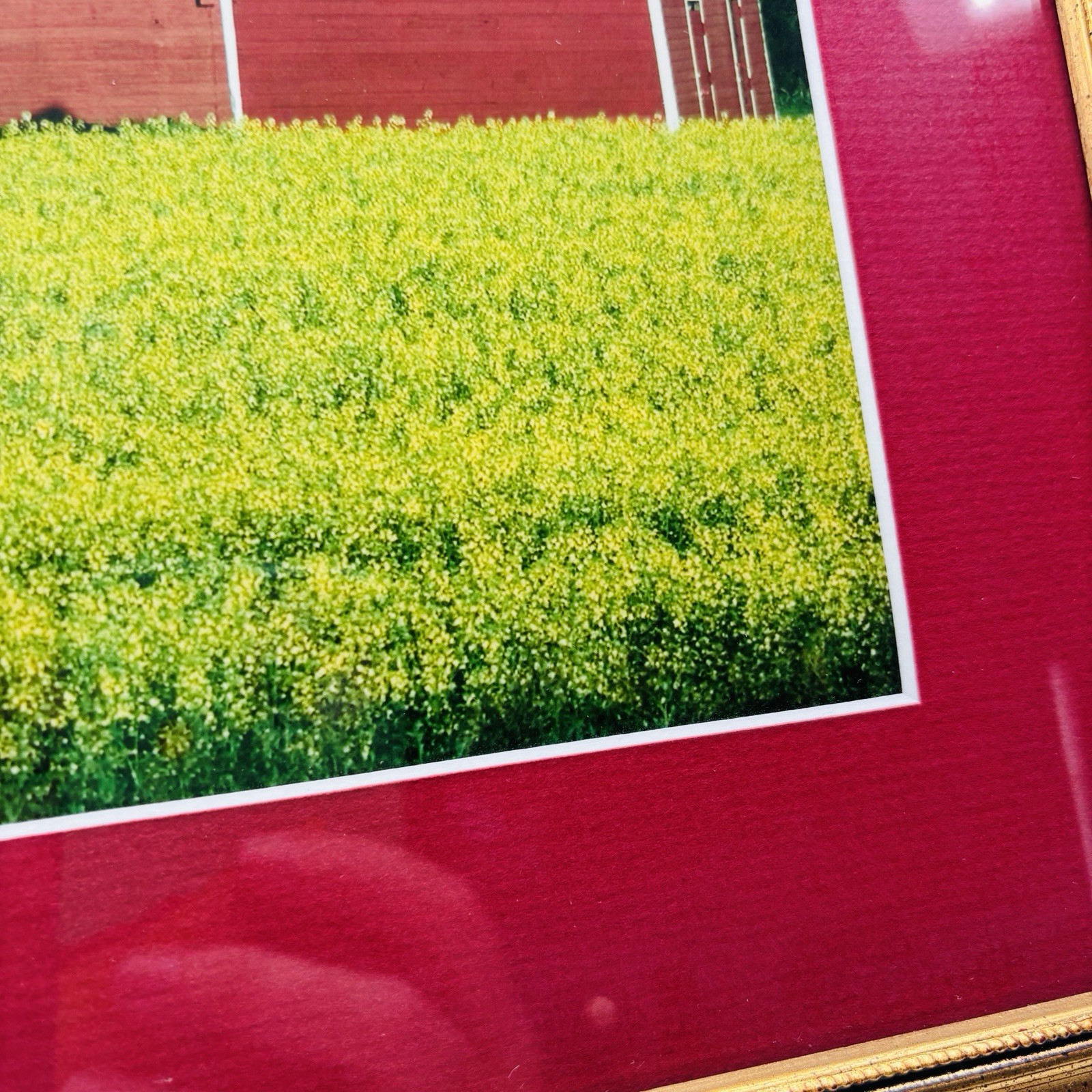 Red Barns in Yellow Field Framed Phorograph Farmcore Countrycore 1990s Wall Art