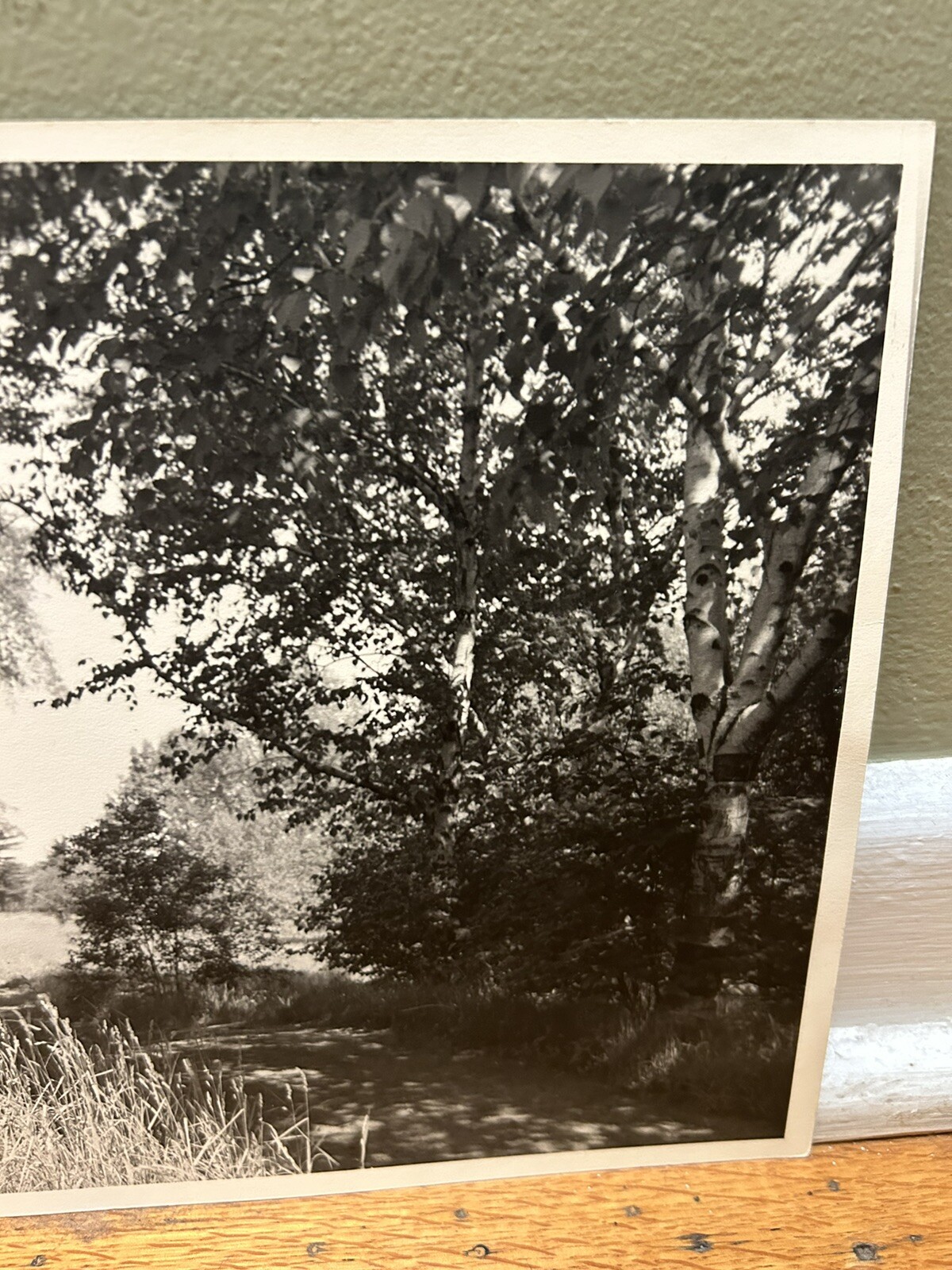 Arthur Gray Standard Oil Photographer Cleveland Ohio Americana Woodland Path Wow