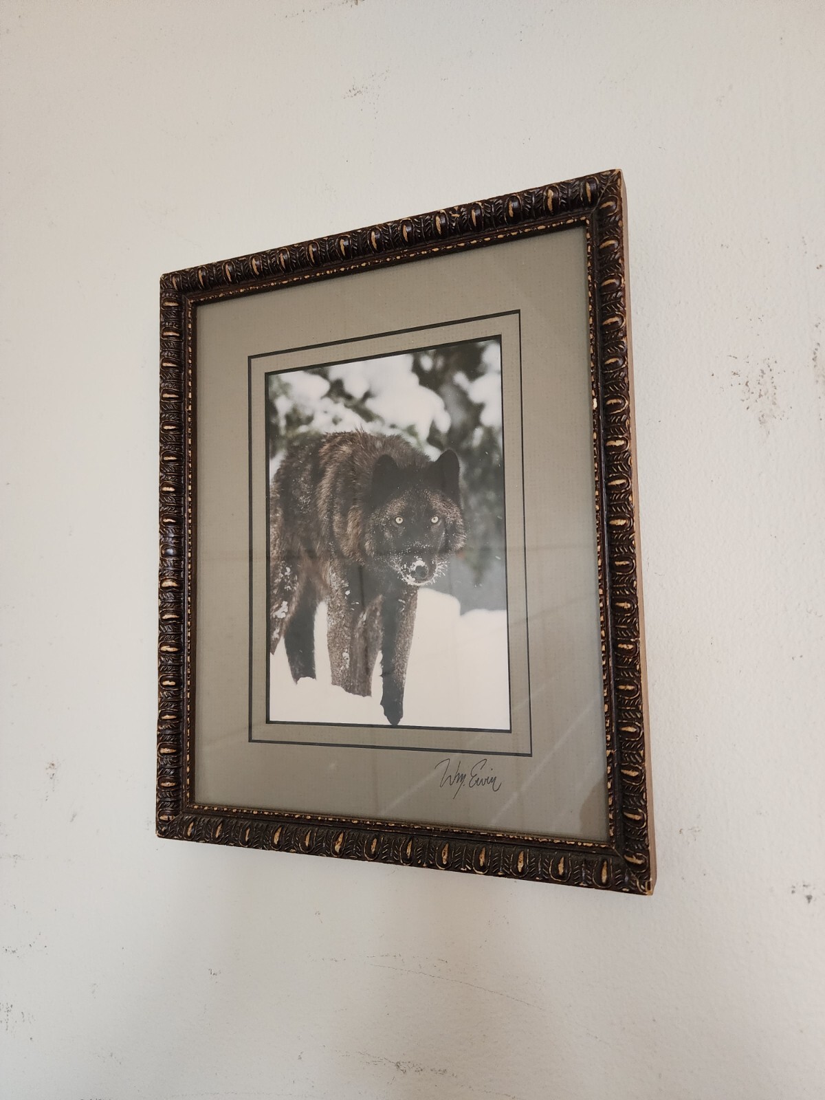 Winter wolf photo signed by William Ervin with natural wood frame