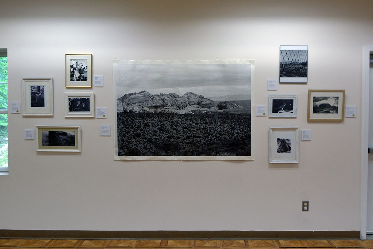 Peregine Falcon, Rosendale, NY, 8 x 10 in, 2024, art photo by Melanie Gonzalez