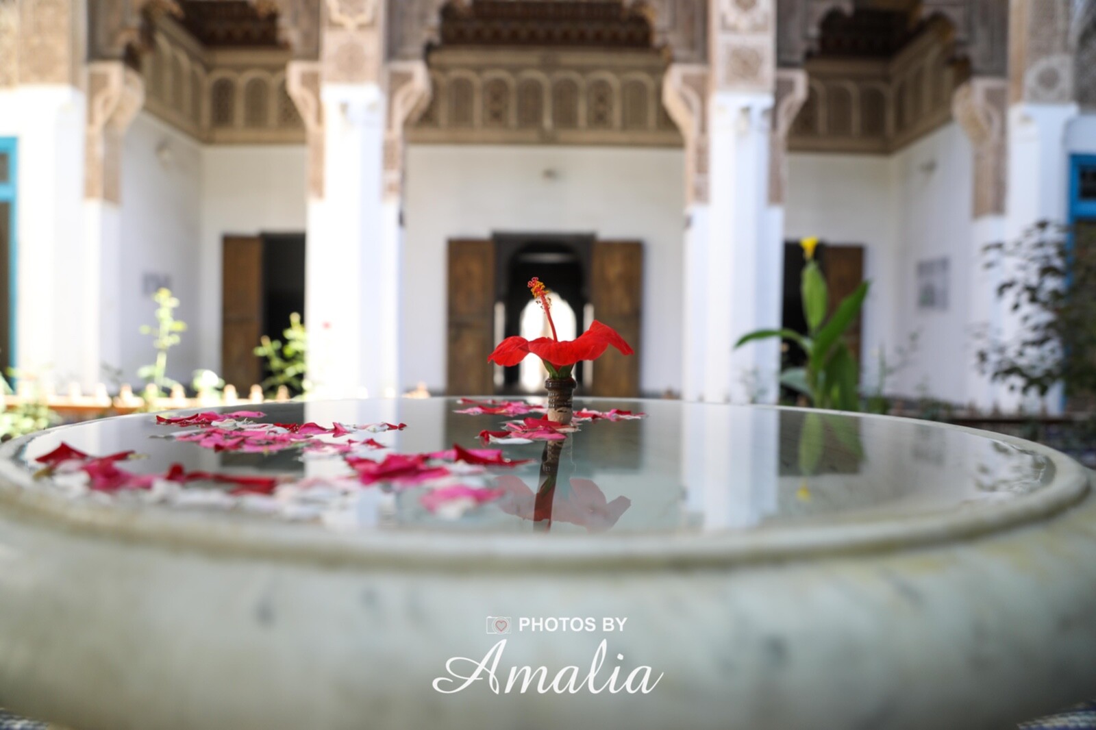 *One of a Kind* 8×10 Photograph Printed on Canvas of Details of Morocco