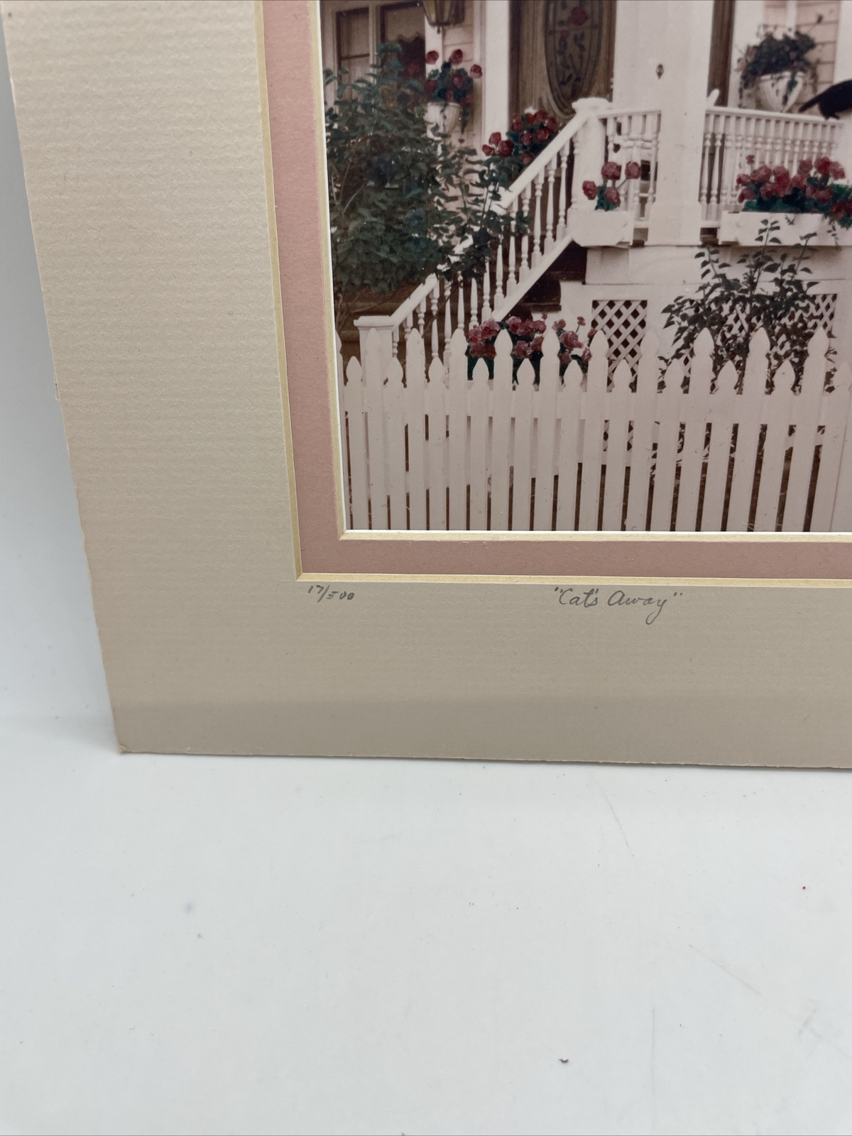 Victorian House Cat’s Away Matted Photo Print SIGNED Marylyn # 17/500 Pink&Roses