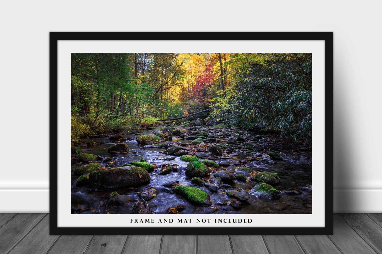 Forest Photography Print – Picture of Creek in Great Smoky Mountains Tennessee