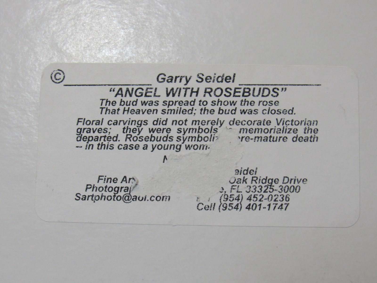 “Angel With Rosebuds” Original Hand-Colored Photography by Garry Seidel