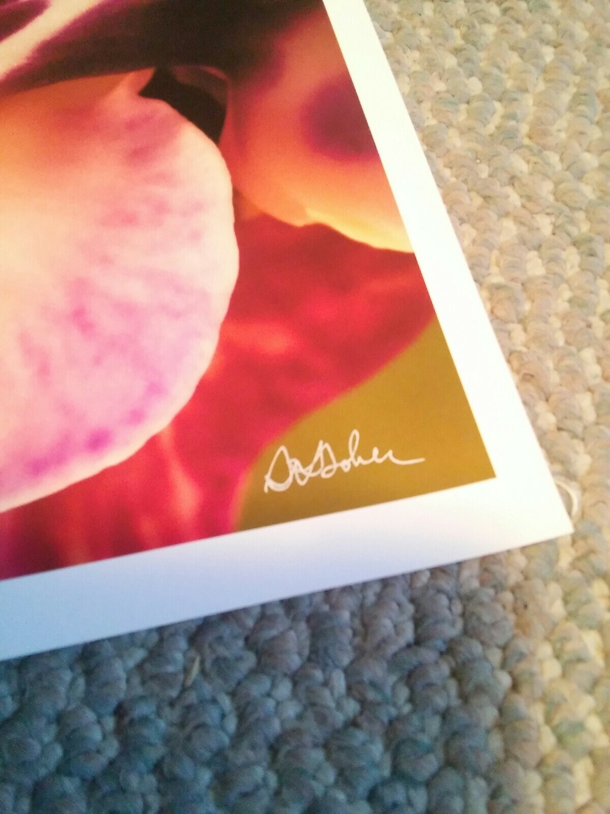 19×13 Digital Art Photograph Beautiful Flower Signed By Artist Floral NAture