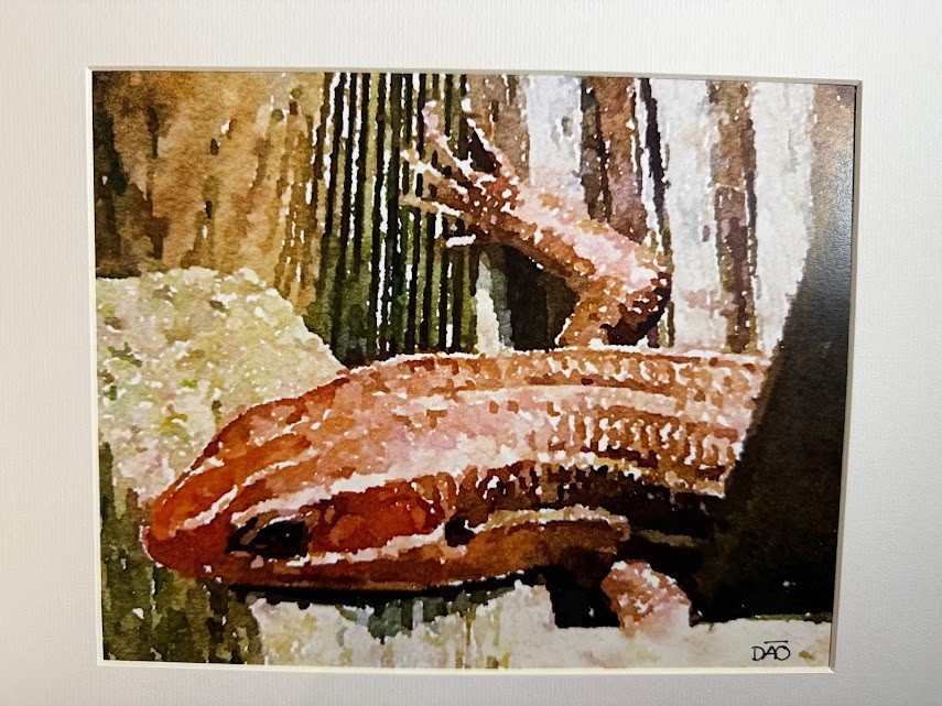 Lizard Digital Watercolor Original Photograph 8 X 10 Matted To 11 X 14 – Signed