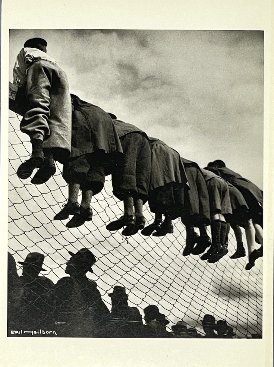 Emil Heilborn 1934 Art Photo Print Card By Fotofolio 4”x6” Dog Exhibition