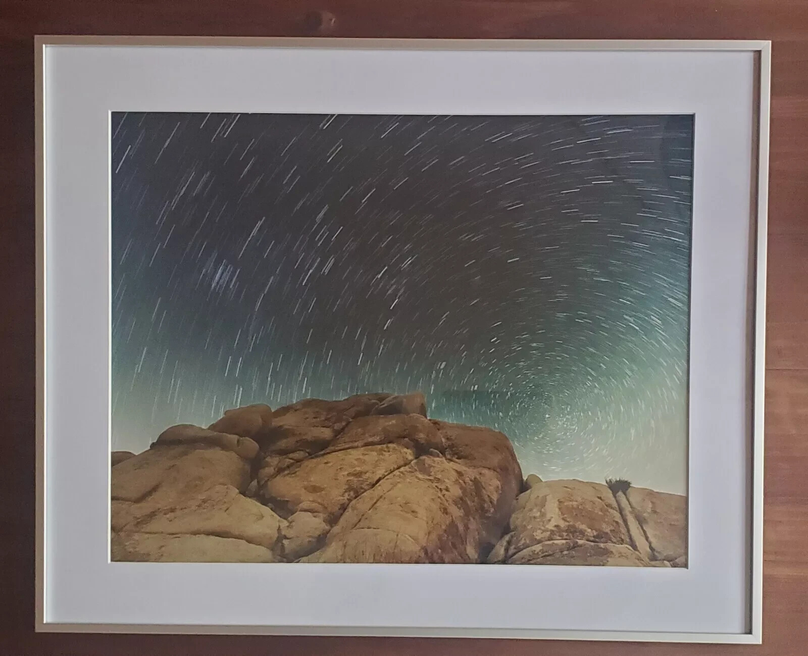 16×20″ Photo of Star Trails in Joshua Tree National Park Night Sky Framed 20×24″