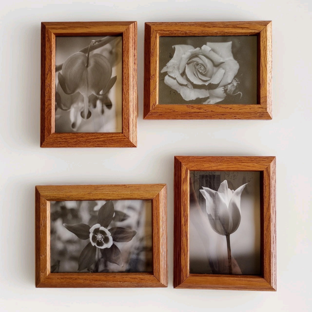 Lot4 Framed Black & White Flower Photos Tulip Rose Bleeding Heart Columbine 6×8″