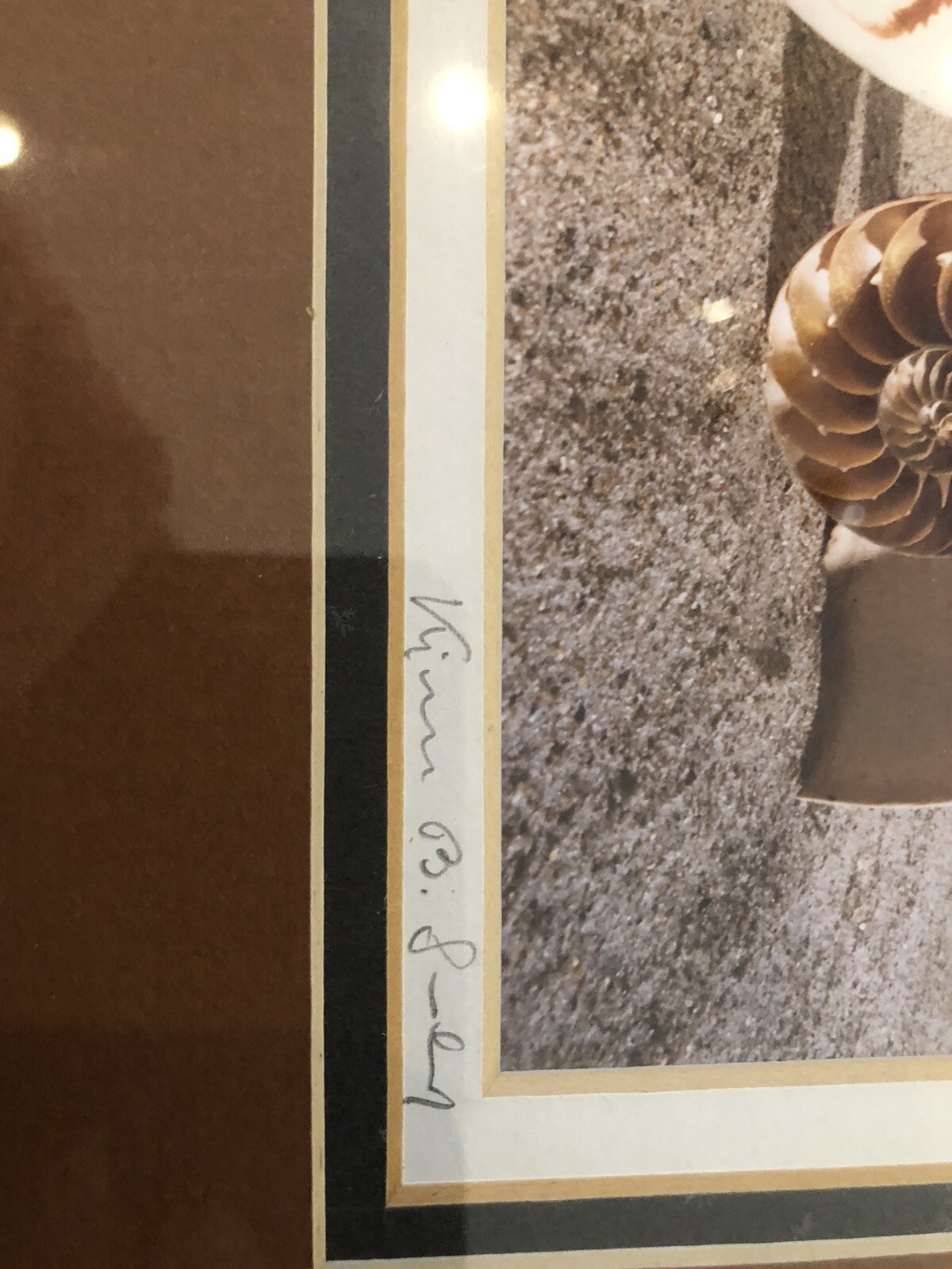 ORIGINAL Kjell B. Sandved NAUTILUS SHELL ART PHOTO Hand Signed L.E. Triple Mat