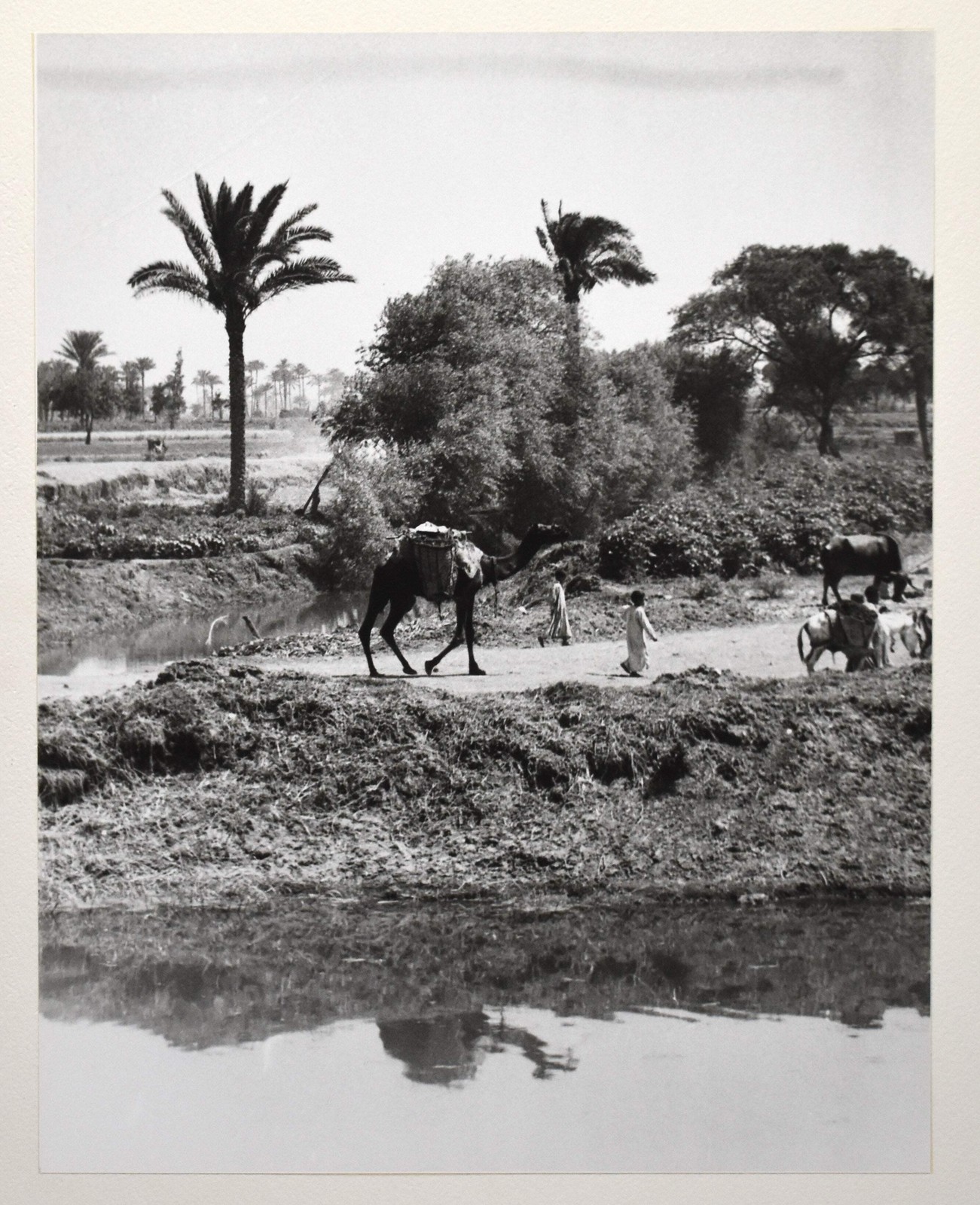 J.W. Howlett Black + white Photograph focusing on a Group of Travelers W/ Camel