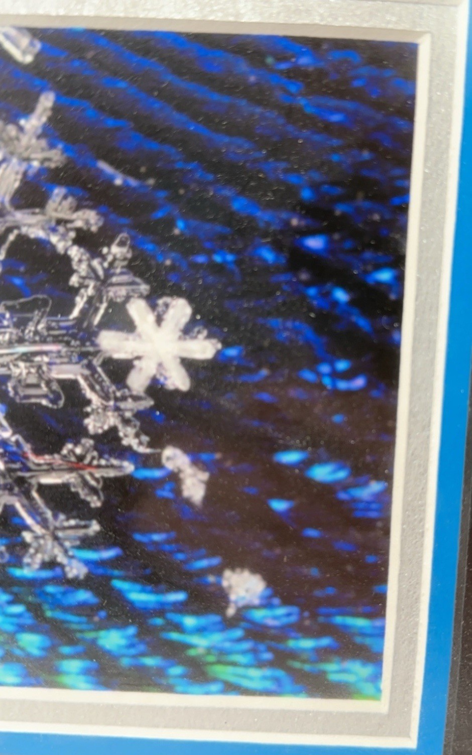Karla Booth Macro Photography Snowflakes On Peacock Feathers Signed Art Snow COA